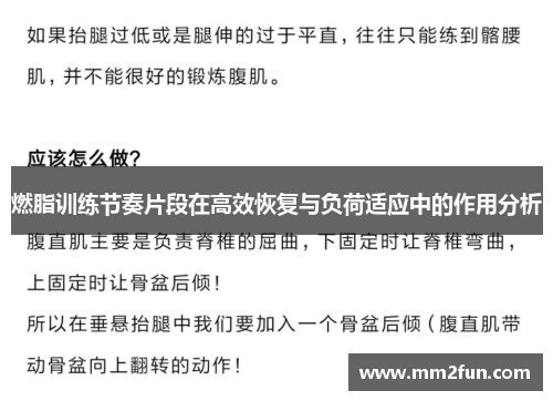 燃脂训练节奏片段在高效恢复与负荷适应中的作用分析