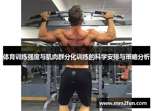 体育训练强度与肌肉群分化训练的科学安排与策略分析